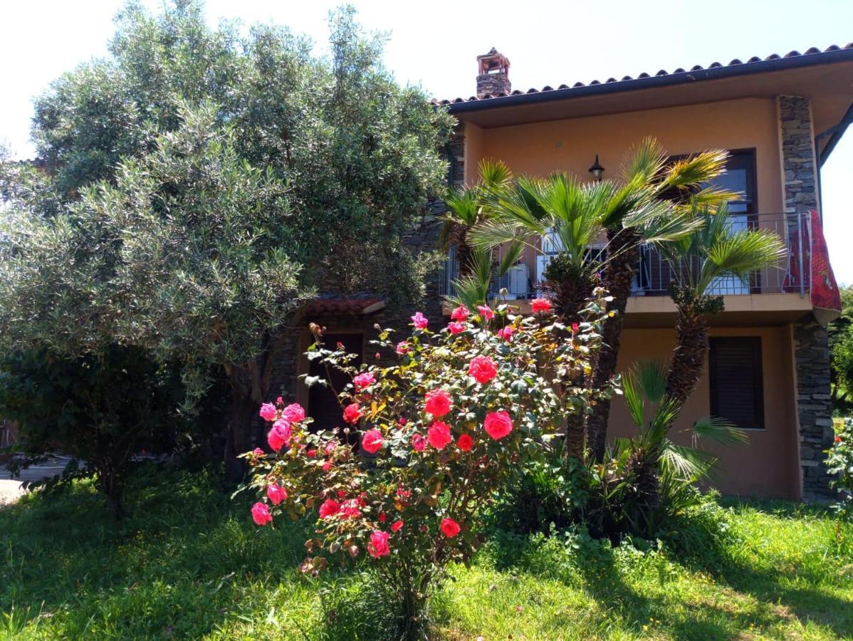 Viliam B&B Olbia Esterno foto