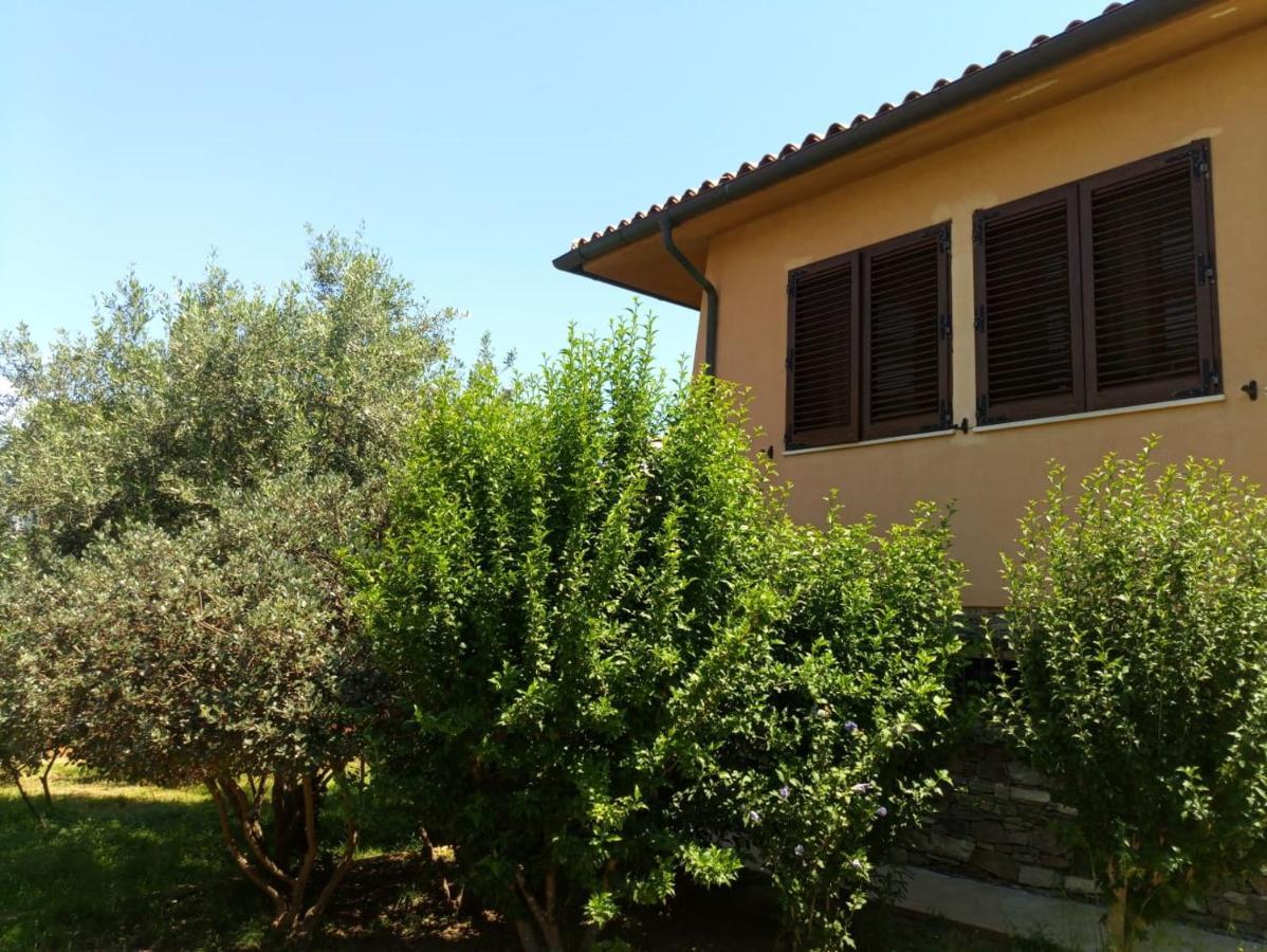 Viliam B&B Olbia Esterno foto